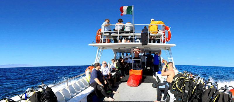 Puerto Vallarta PADI Divemaster Course